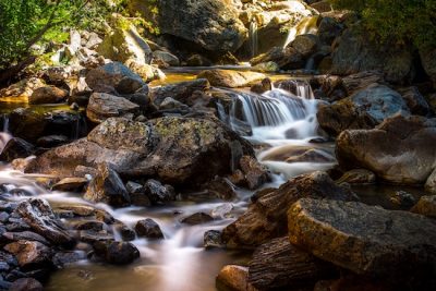 Freshwater Biodiversity Loss