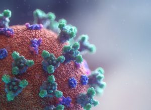 coronavirus cell